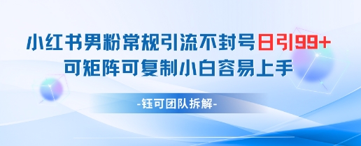 小红书男粉常规引流不封号日引99+变现简单 可矩阵可复制小白容易上手-3YVIP资源库