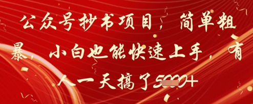 公众号抄书项目，简单粗暴，小白也能快速上手，有人一天搞了1k+-3YVIP资源库