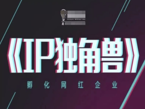 IP独角兽，孵化网红企业，ip教程-3YVIP资源库