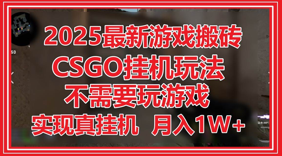 （14743期）2025最新游戏搬砖，CSGO挂机，不需要玩游戏，实现真挂机，月入1W+-3YVIP资源库
