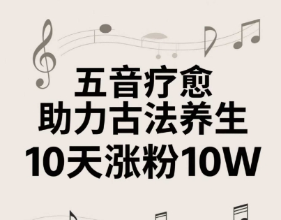 古法五音养生教程，五音疗愈的视频的制作方法，2-4小时就能学会，作者10天涨粉10W-3YVIP资源库