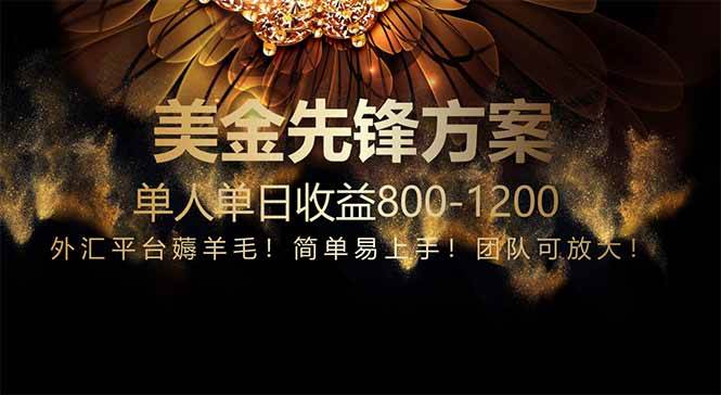 （14761期）免费技术！小众赛道！一年布局抵三年努力，每日800+-3YVIP资源库