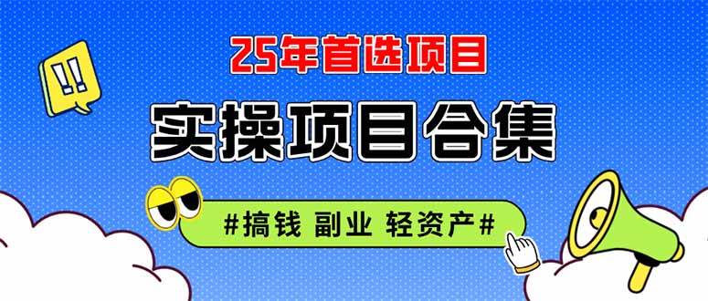 （14767期）2025实操项目合集 挂机类型 直播类型 轻资产创业类型 课程分享各项目介…-3YVIP资源库