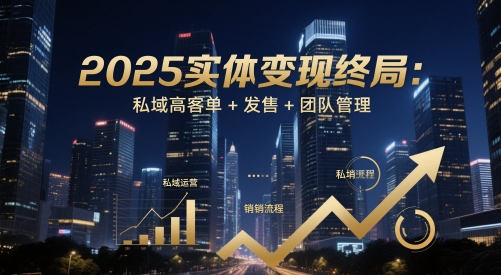 2025实体变现终局：私域高客单+发售+团队管理-3YVIP资源库