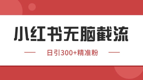 小红书只要你有同行就能获客，独家野路子获客玩法，暴力截流【揭秘】-3YVIP资源库