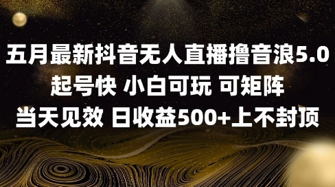2025五月最新无人直播撸音浪单日产出5张+实操教程【揭秘】-3YVIP资源库