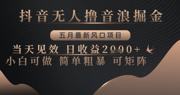 抖音无人撸音浪掘金，五月最新风口项目，当天见效，日收益多张，小白可做简单粗暴可矩阵【揭秘】-3YVIP资源库