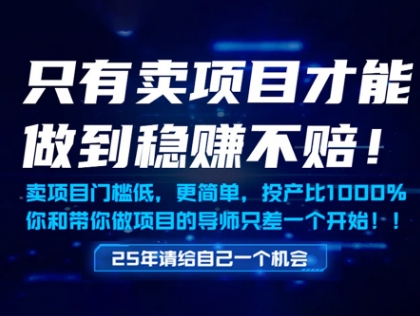 只有卖项目才能做到稳挣不赔，门槛低，更简单，你也可以年入百个W【揭秘】-3YVIP资源库