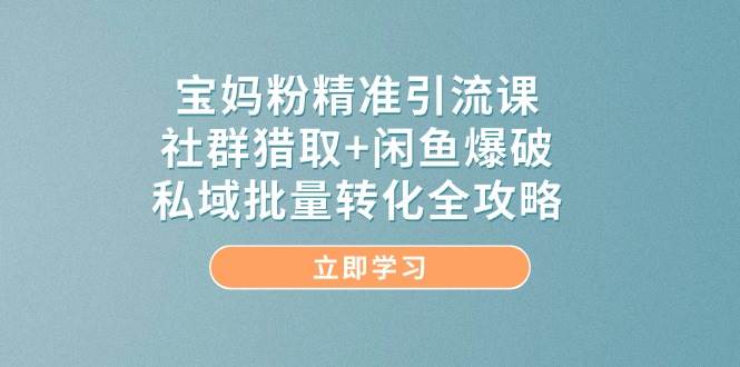 宝妈粉精准引流课，社群猎取+闲鱼爆破，私域批量转化全攻略-3YVIP资源库