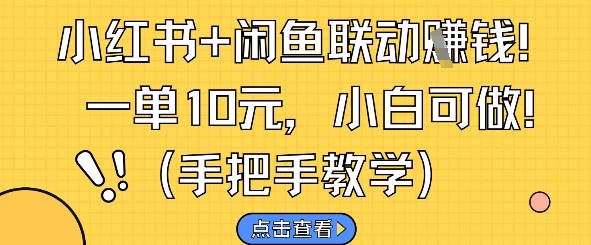 小红书+闲鱼联动挣钱，一单10元，小白可做-3YVIP资源库