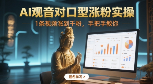AI观音对口型涨粉实操，1条视频涨到千粉，手把手教你-3YVIP资源库