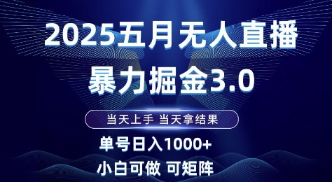 2025五月无人直播暴力掘金3.0，当天上手，当天拿结果，单号日入1k+小白可做可矩阵【揭秘】-3YVIP资源库