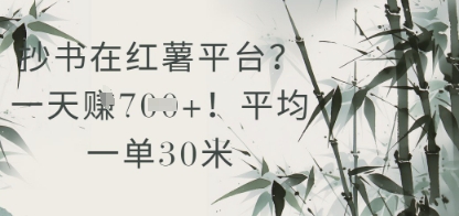 抄书在小红薯平台？平均一单30米，一天收益几张！-3YVIP资源库