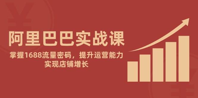 （14830期）阿里巴巴实战课：掌握1688流量密码，提升运营能力，实现店铺增长-3YVIP资源库
