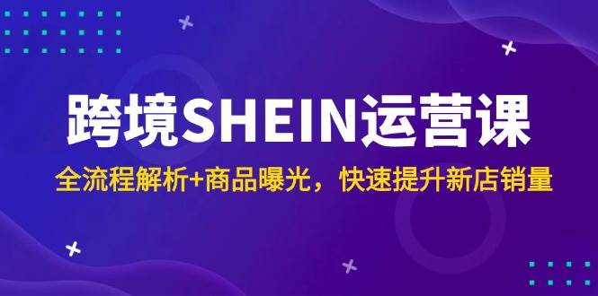 （14832期）跨境SHEIN运营课，全流程解析+商品曝光，快速提升新店销量-3YVIP资源库