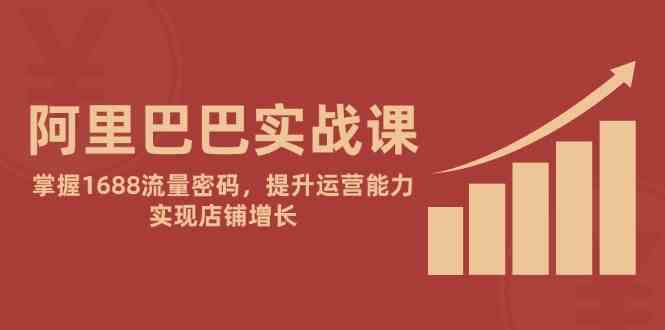 阿里巴巴实战课：掌握1688流量密码，提升运营能力，实现店铺增长-3YVIP资源库