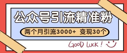 公众号精准粉引流玩法，2个月3000+精准粉，变现30个W【揭秘】-3YVIP资源库