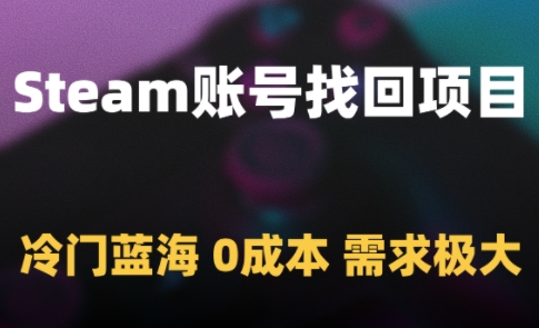 Steam账号找回项目，冷门蓝海，0成本，需求极大-3YVIP资源库