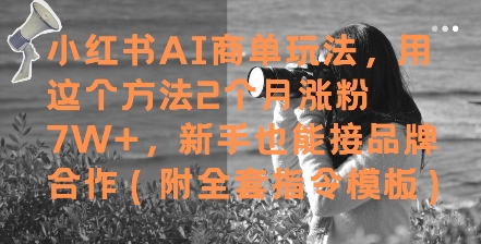 小红书AI商单玩法，用这个方法2个月涨粉7W+，新手也能接品牌合作(附全套指令模板)-3YVIP资源库