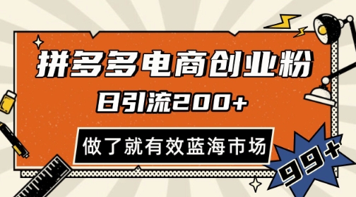 拼多多引流电商创业粉，日引200+，可矩阵放大，做了就有效【揭秘】-3YVIP资源库