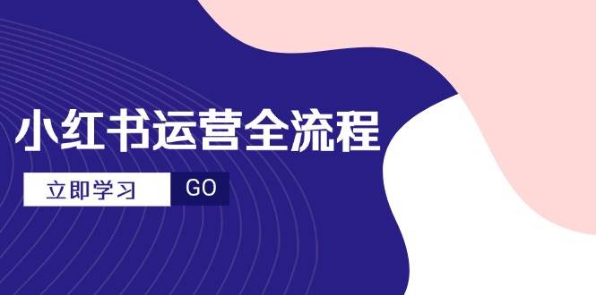 （14861期）小红书运营全流程，爆款选题文案，视频制作技巧，进阶达人宝典-3YVIP资源库