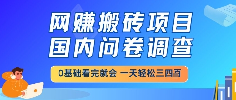 网创搬砖项目，国内问卷调查，小白轻松上手，一天三四张的也不难，干就完了【揭秘】-3YVIP资源库
