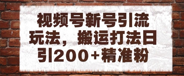 视频号新号引流玩法，搬运打法日引200+精准粉，可矩阵放大【揭秘】-3YVIP资源库