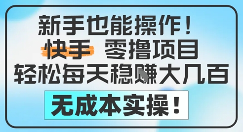 新手也能操作，快手零撸挣米，轻松每天挣2-5张，完全无成本-3YVIP资源库