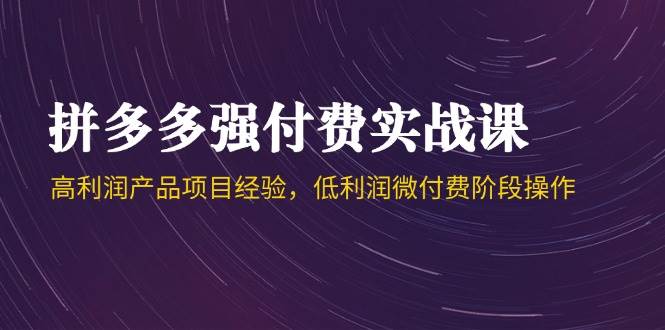 （14874期）拼多多强付费实战课-44期，高利润产品项目经验，低利润微付费阶段操作-3YVIP资源库