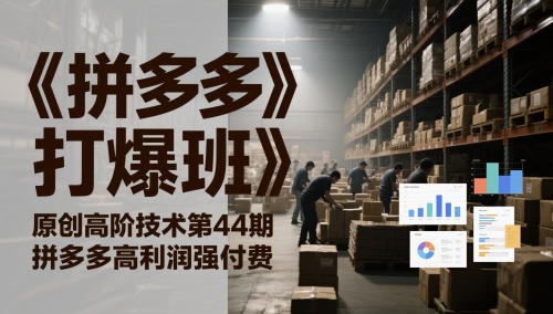 《拼多多打爆班》原创高阶技术第44期，拼多多高利润强付费-3YVIP资源库