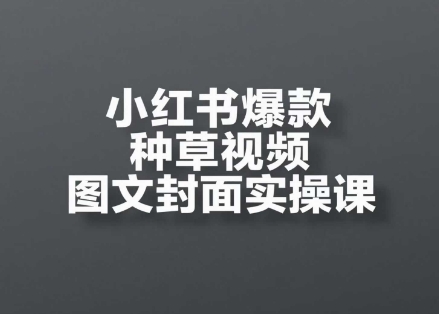 小红书爆款种草视频图文封面实操课，​开店、选品、引流、变现全流程-3YVIP资源库