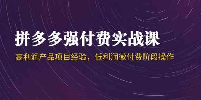 拼多多强付费实战课-44期，高利润产品项目经验，低利润微付费阶段操作-3YVIP资源库