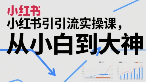 小红书引流实操课，从小白到大神-3YVIP资源库