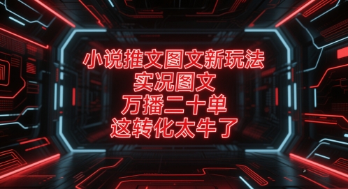 小说推文图文新玩法，实况图文，万播二十单，这转化太牛了！-3YVIP资源库