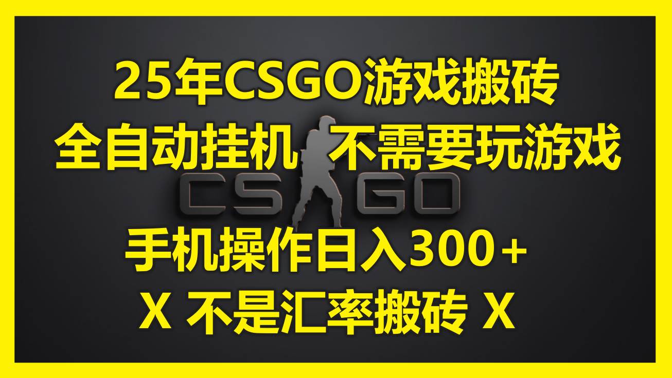 （14902期）25年CSGO游戏搬砖，全自动挂机，不需要玩游戏，手机操作日入300+。(不…-3YVIP资源库