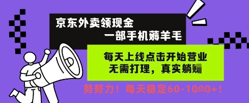 京东外卖领现金，一部手机薅羊毛，每天上线动动手指，无需打理，每天保底60+，每天就是如此轻松【揭秘】-3YVIP资源库