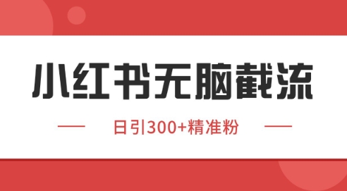 小红书截流同行客源，独家野路子获客玩法 日引200+暴力获客【揭秘】-3YVIP资源库
