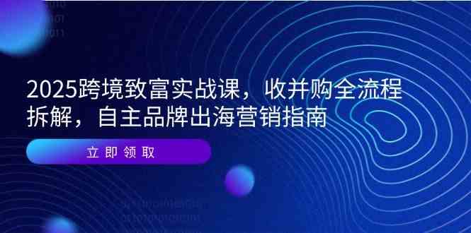 2025跨境致富实战课，收并购全流程拆解，自主品牌出海营销指南-3YVIP资源库