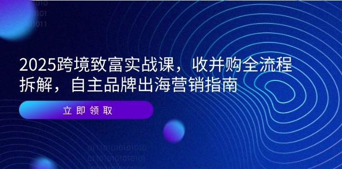 （14975期）2025跨境致富实战课，收并购全流程拆解，自主品牌出海营销指南-3YVIP资源库