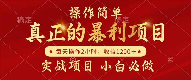 （14978期）真正的暴利项目，操作简单，每天收益1200＋，自己做老板-3YVIP资源库