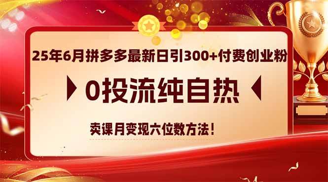 （14989期）25年6月拼多多最新日引300+付费创业粉，0投流纯自热 卖课月变现六位数方法-3YVIP资源库