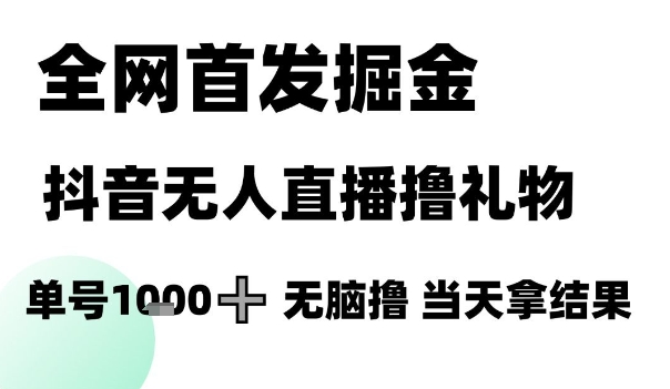 全网首发掘金抖音无人直播撸礼物，单号1k +无脑撸，当天拿结果【揭秘】-3YVIP资源库