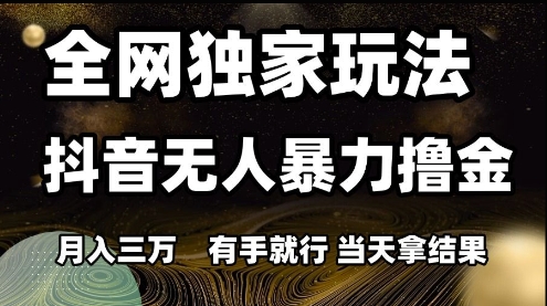 全网独家玩法抖音无人暴力撸金，月入3W，有手就行，当天拿结果【揭秘】-3YVIP资源库