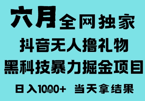 25年6月高爆抖音无人直播最新撸音浪掘金项目，门槛低小白可做，无脑日入1k，可矩阵放大【揭秘】-3YVIP资源库