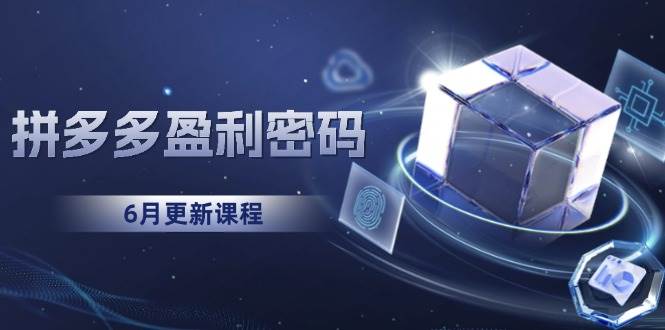 （15005期）拼多多盈利密码：从烧钱推广到印钞模型，底层逻辑重构指南（6月更新）-3YVIP资源库