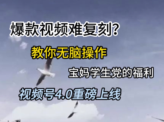 视频号4.0重磅上线，爆款视频难复刻？教你无脑操作宝妈学生党的福利【揭秘】-3YVIP资源库