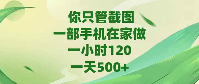 （15039期）你只管截图，一部手机在家做，一小时120，-天500+-3YVIP资源库
