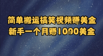 简单搬运搞笑视频挣美金，新手一个月入1k美金-3YVIP资源库