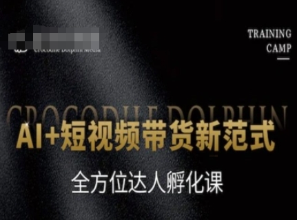 AI+短视频带货新范式，全方位达人孵化课-3YVIP资源库
