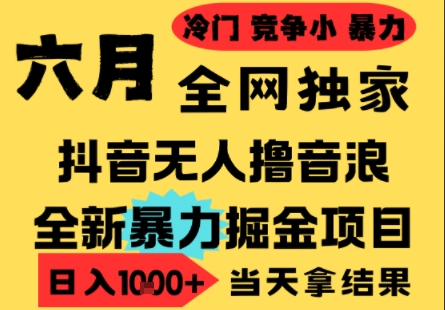 25年6月高爆抖音无人直播最新撸音浪掘金项目，小白可做，无脑日入1k+，门槛低可批量矩阵【揭秘】-3YVIP资源库
